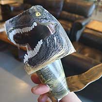 Generic placeholder image